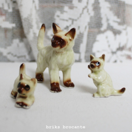 set beeldjes siamese kat (3-delig)