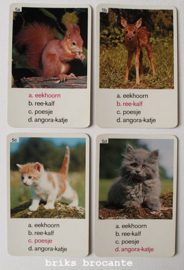 kwartet dieren