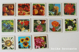 Ravensburger Natuur-Memory