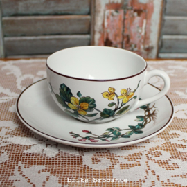 kop en schotel Villeroy & Boch - Botanica