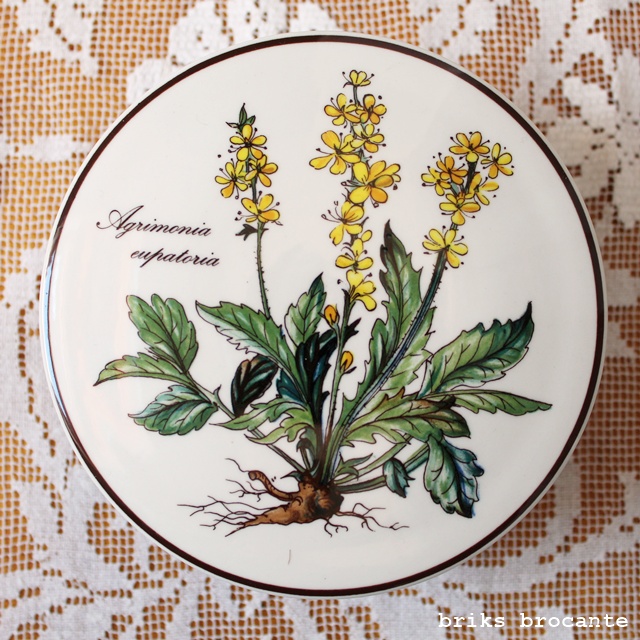 bonbonnière Villeroy & Boch Botanica