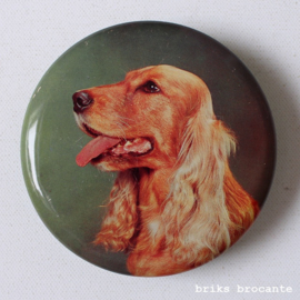 blikje Blue Bird - Cocker Spaniel