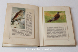 Hille zakalbum De Hoge Veluwe II
