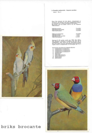 12 vogelplaatjes Avifauna