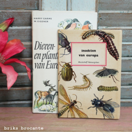 insekten van europa