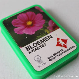 bloemen kwartet - Eldorado