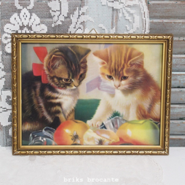 ingelijste prent kittens
