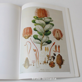Botanische illustraties