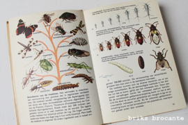 insekten van europa