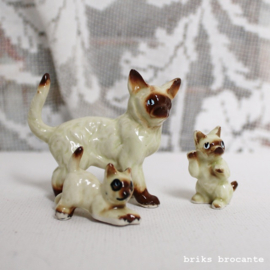 set beeldjes siamese kat (3-delig)