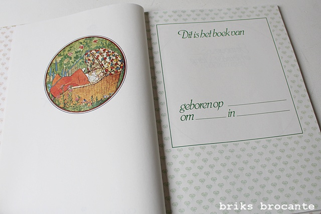 Babyboek - invulboek - Rie Cramer