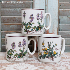 mok Villeroy & Boch Botanica - D.E.