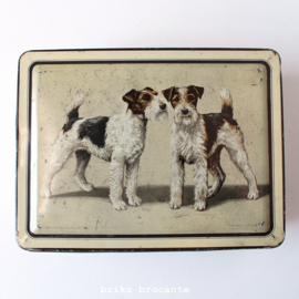 blik / koektrommel fox terriers