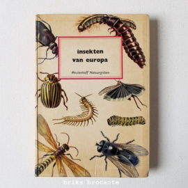 insekten van europa