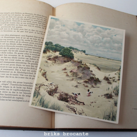 Onze groote rivieren - Jac.P. Thijsse