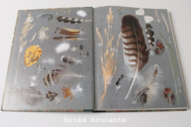 Marjolein Bastin - Dagboek