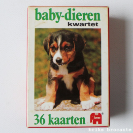 baby-dieren kwartet - Jumbo