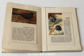 Hille zakalbum De Hoge Veluwe II