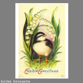 kaart pasen - Easter Greetings - kuiken
