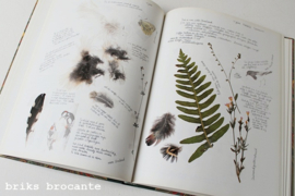 Marjolein Bastin - Dagboek