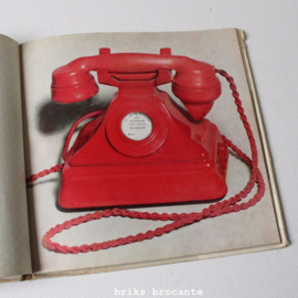 First Things - a picture book