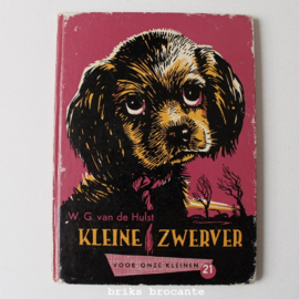 Kleine zwerver - W.G. van de Hulst