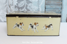 blik / koektrommel fox terriers
