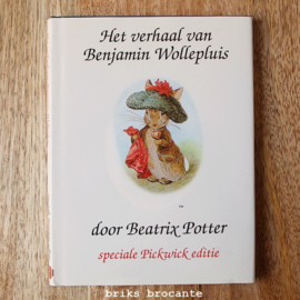 Het verhaal van Benjamin Wollepluis