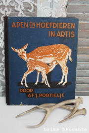 Apen en hoefdieren in Artis