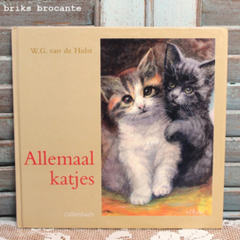 Allemaal katjes - W.G. van de Hulst