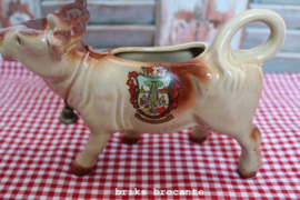 melkkannetje koe