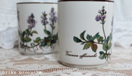 mok Villeroy & Boch Botanica - D.E.