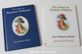 Het verhaal van Benjamin Wollepluis