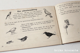 Met de Jaargetijden mee