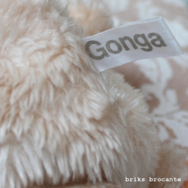 Gonga aap