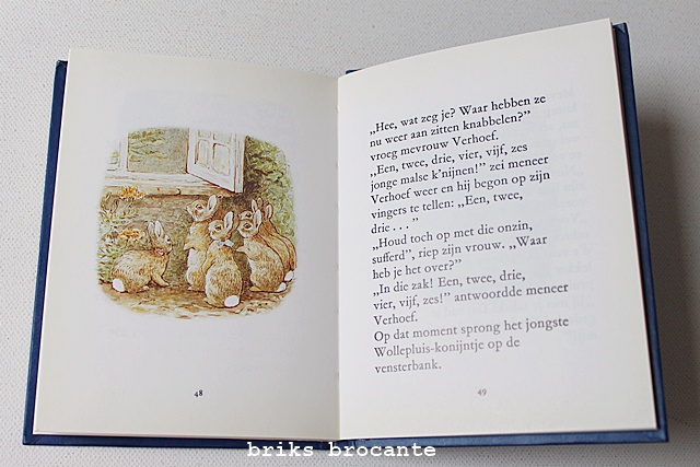 Het verhaal van de Wollepluis-konijntjes