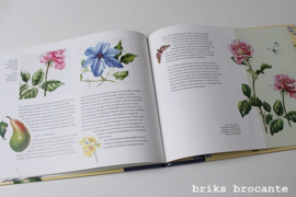 Bloemen in waterverf - Janneke Brinkman