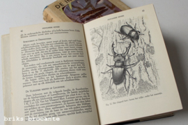 De insecten - deel 1 & 2