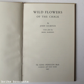 wild flowers of the chalk