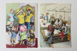 set oude prentbriefkaarten - katten