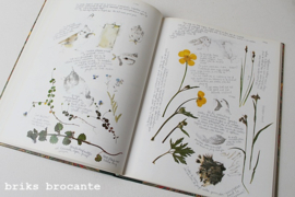Marjolein Bastin - Dagboek