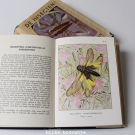 De insecten - deel 1 & 2