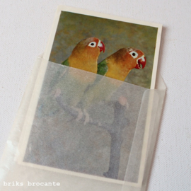 12 vogelplaatjes Avifauna