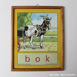 ingelijste prent - bok