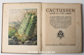 verzamelalbum Verkade - Cactussen