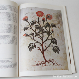 Botanische illustraties