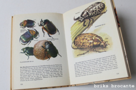insekten van europa