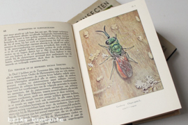 De insecten - deel 1 & 2