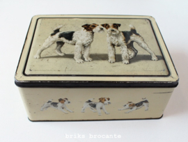 blik / koektrommel fox terriers