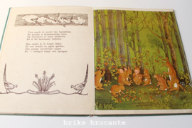 Mapje en Papje in het Hazenbos
